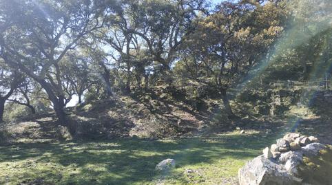 Foto 3 de Terreno en venta en Cortes de la Frontera, Málaga