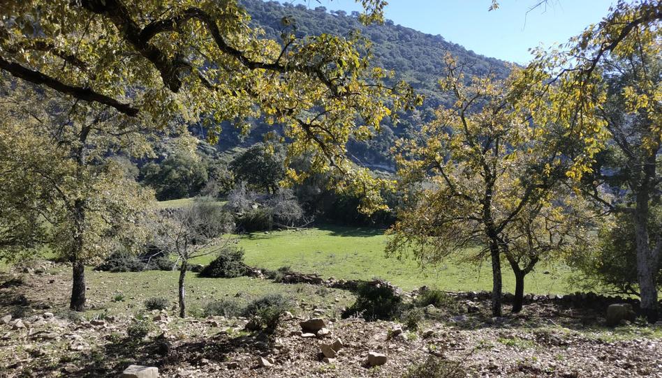Foto 1 de Terreno en venta en Cortes de la Frontera, Málaga