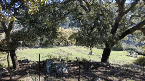 Foto 5 de Terreno en venta en Cortes de la Frontera, Málaga