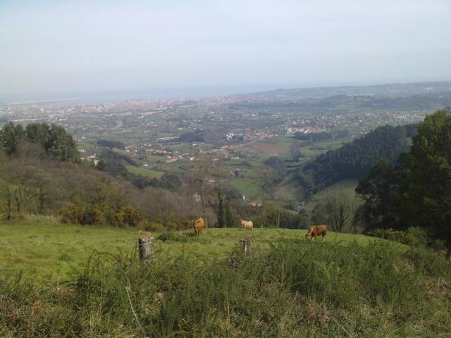 Terreno en Venta en Camino de la Maera, 2117A en Huerces
