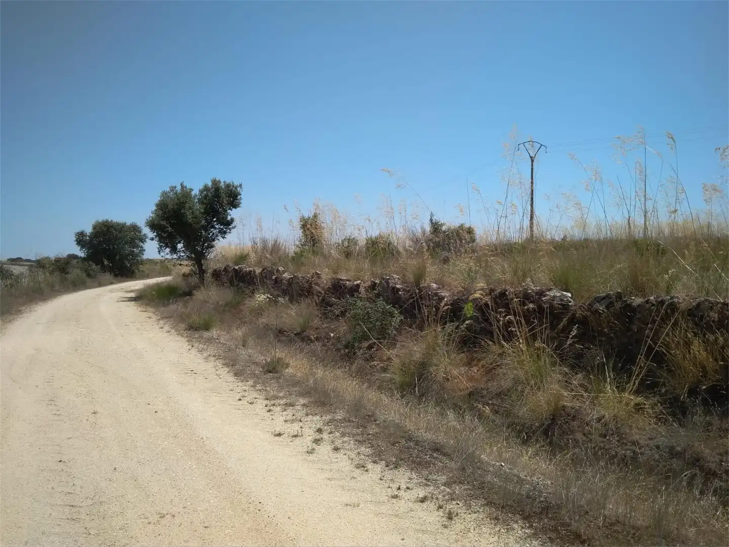 Terreno en venta en Fermoselle