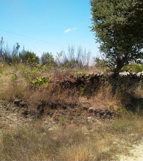 Foto 2 de Terreno en venta en Fermoselle, Zamora