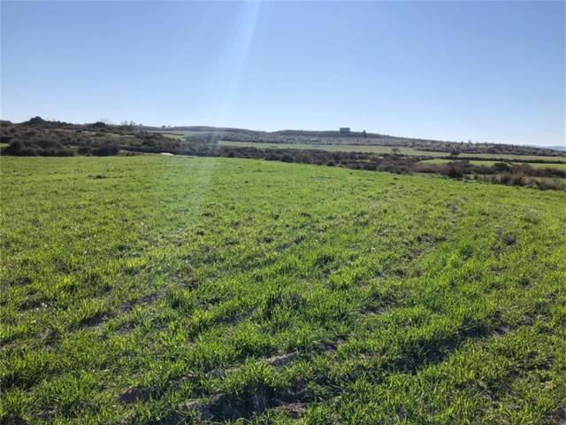 Terreno en Venta en Tobarra