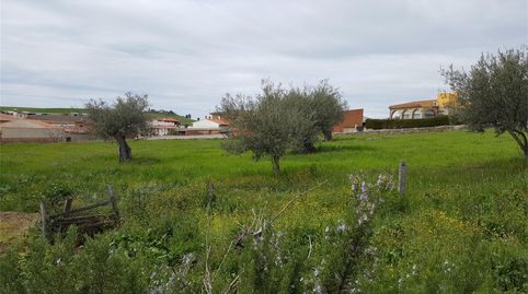 Terreno en venta en Valdeverdeja, Toledo - imagen 3 Foto 3 de Terreno en venta en Valdeverdeja, Toledo