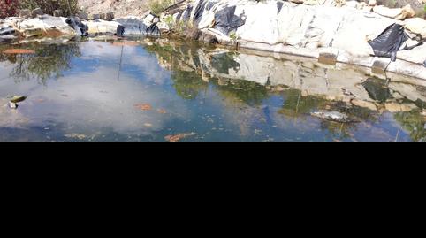 Non-constructible Land for sale in San Bartolomé Interior, Las Palmas - image 3 Photo 3 of Non-constructible Land for sale in San Bartolomé Interior, Las Palmas