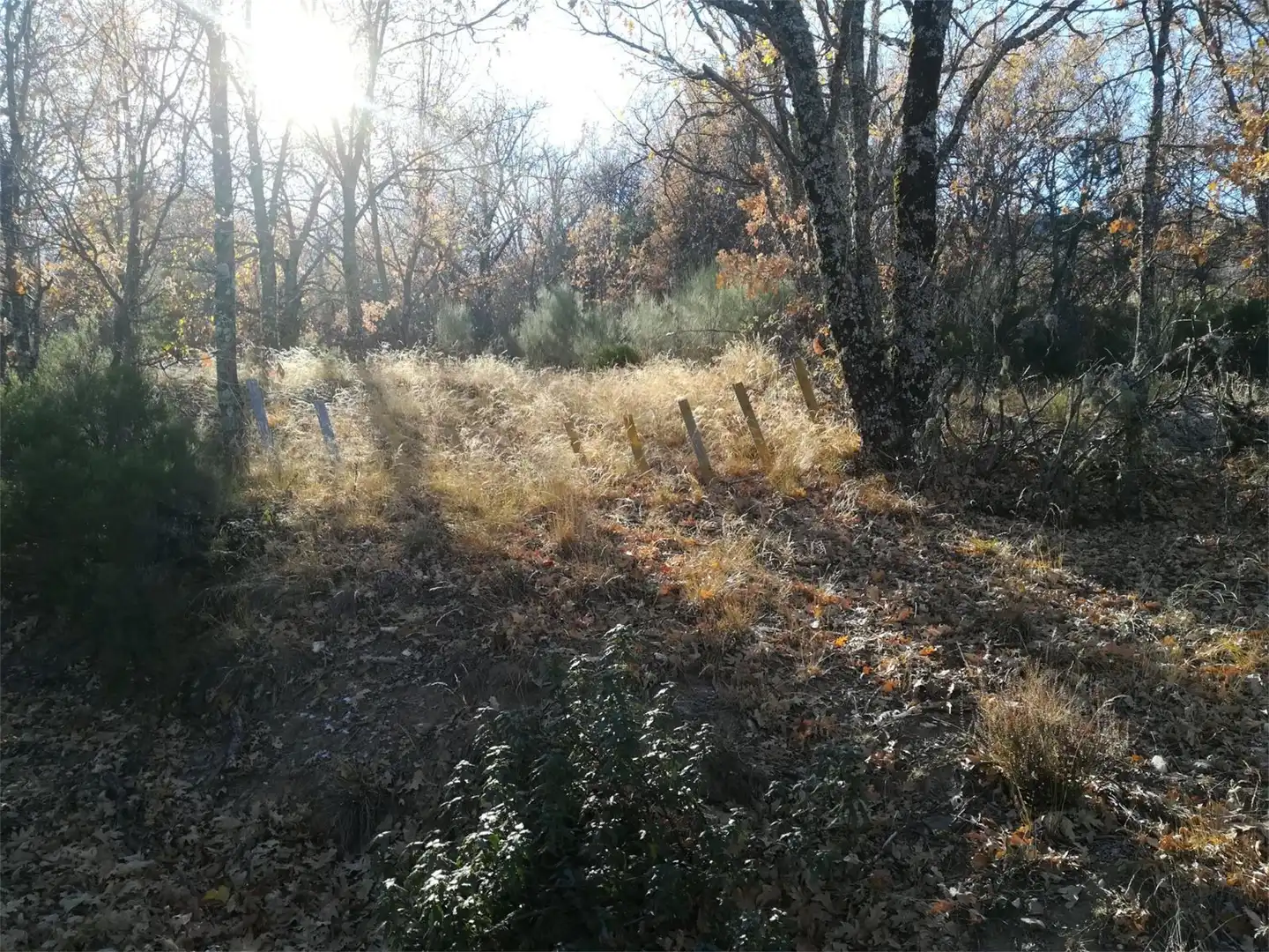 Non-constructible Land for sale in Valverde de los Arroyos Non-constructible Land for sale in Valverde de los Arroyos