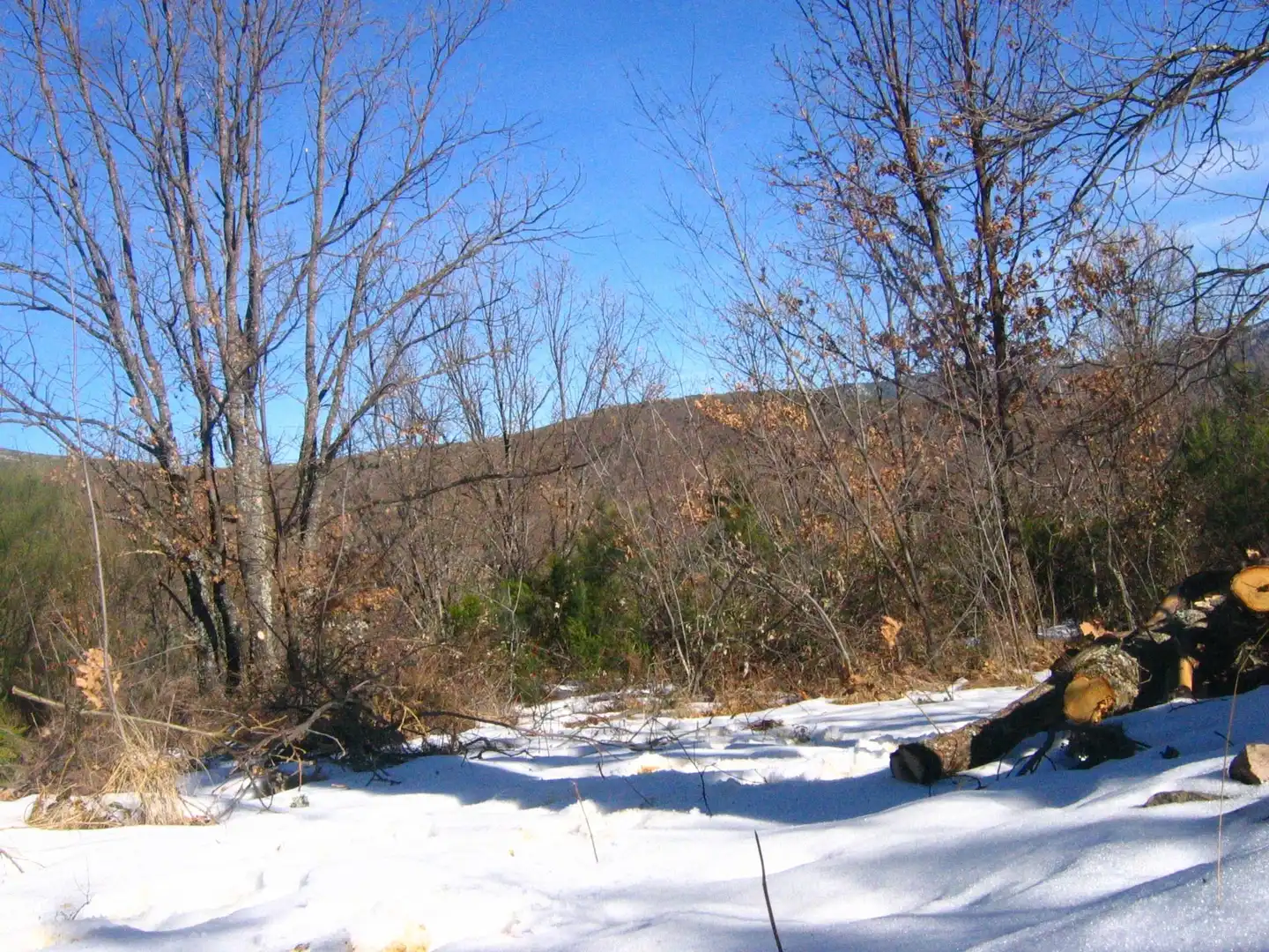 Non-constructible Land for sale in Valverde de los Arroyos Non-constructible Land for sale in Valverde de los Arroyos