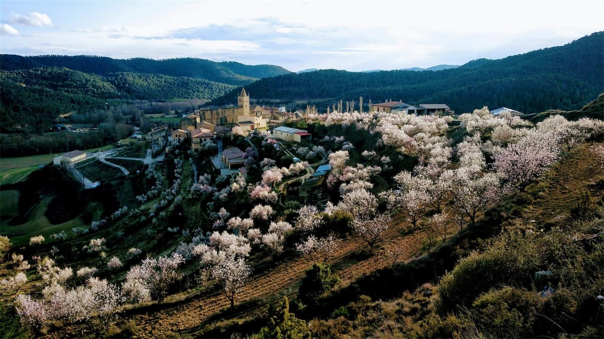 Vista exterior de Terreno en venta en El Frago