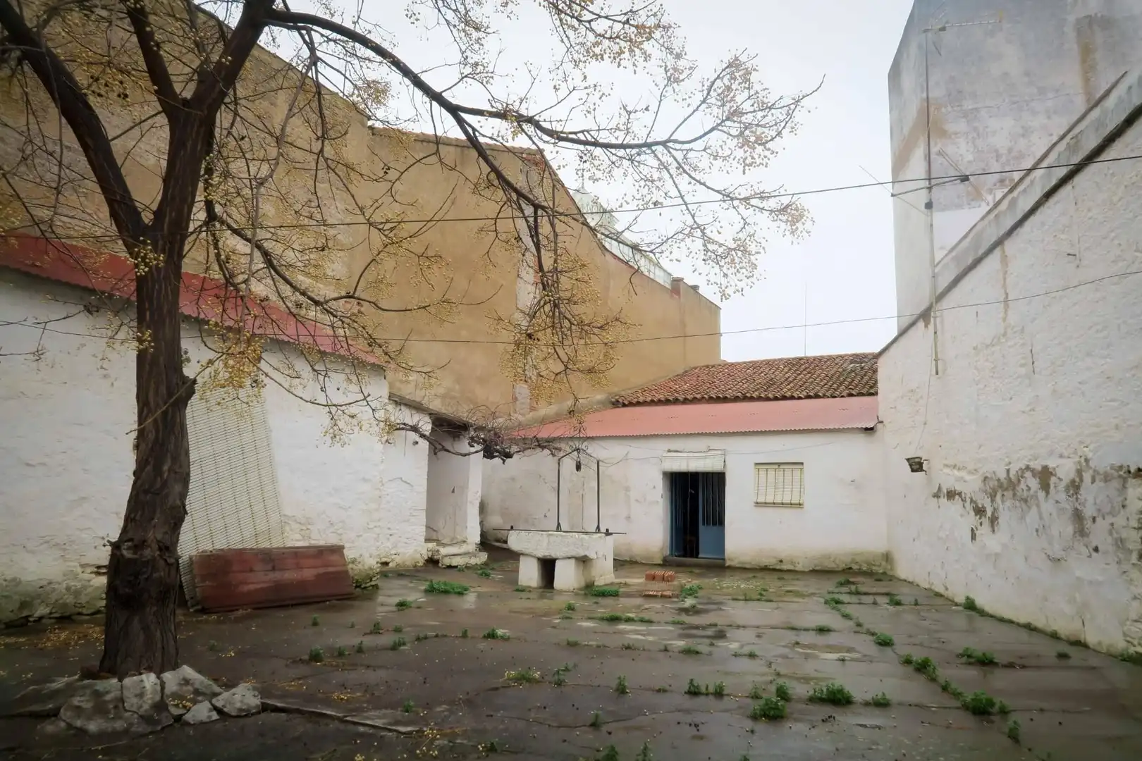 Vista exterior de Finca rústica en venta en Granja de Torrehermosa