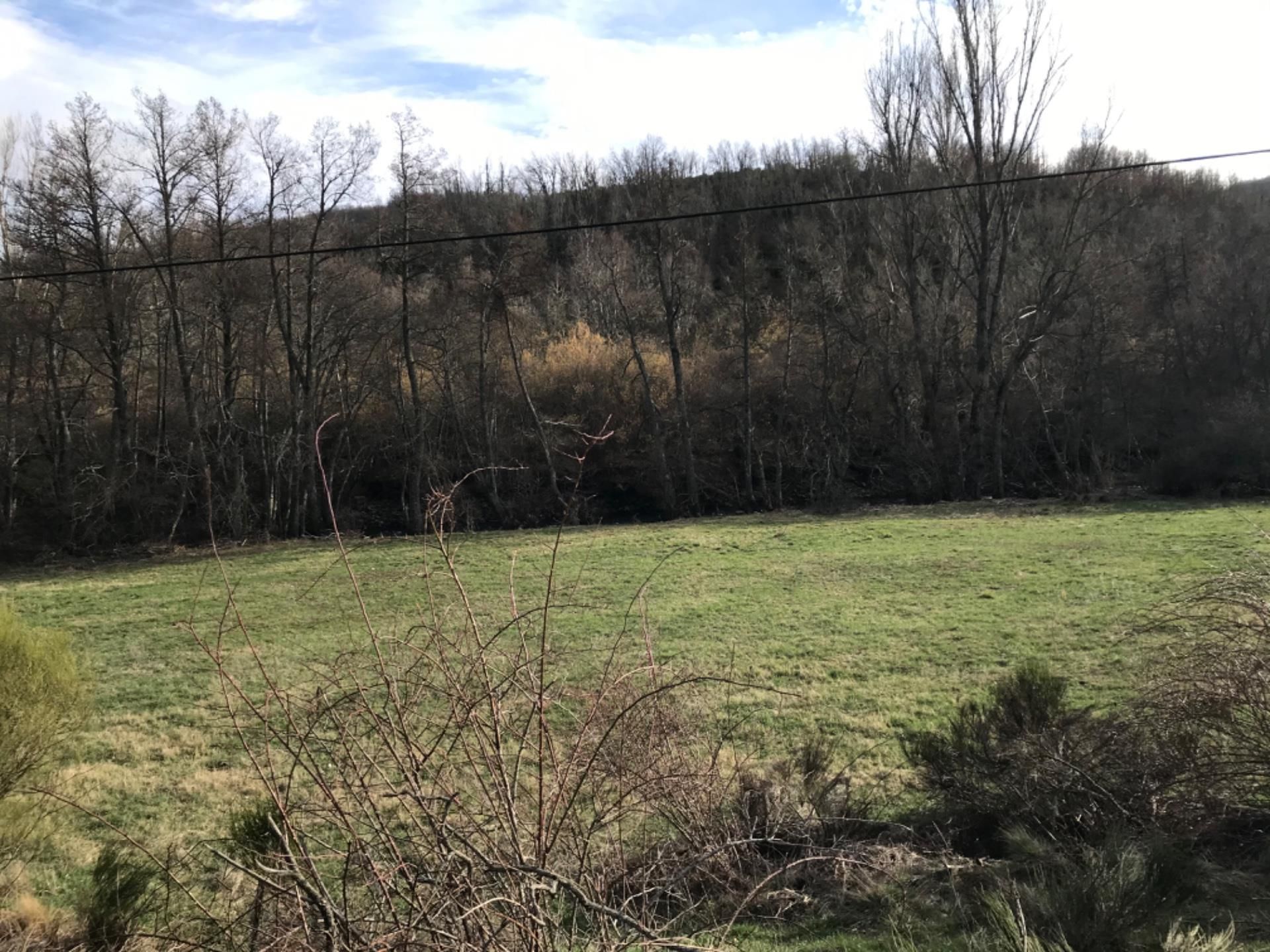Land for sale in Riello