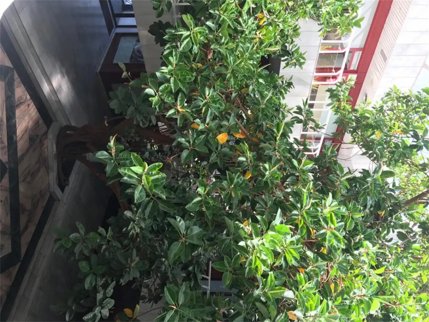 Balcony of Office for sale in Madrid
