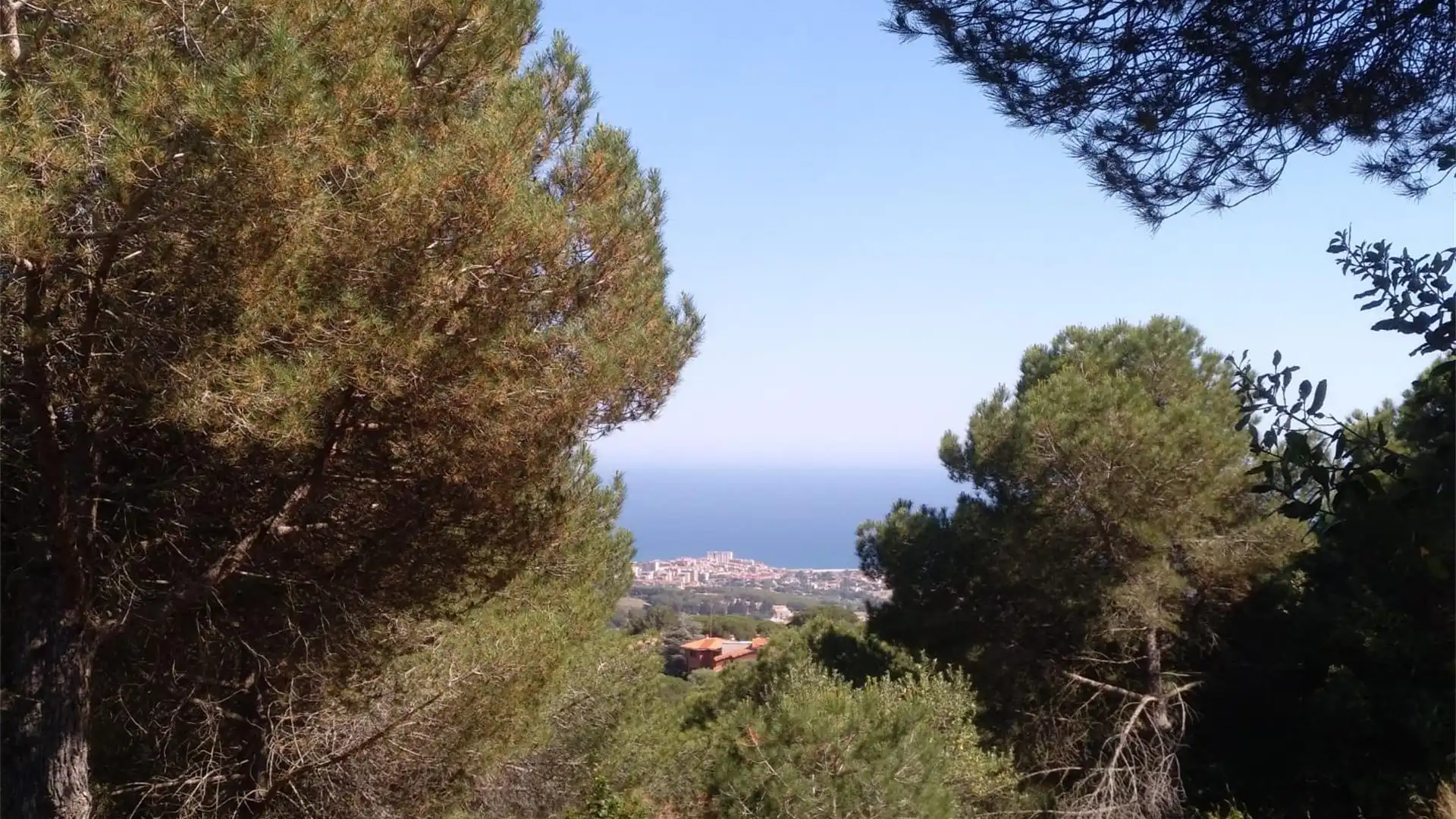 Vista exterior de Terreno en venta en Alella