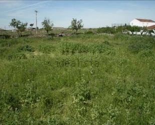 Land for sale in Vitigudino