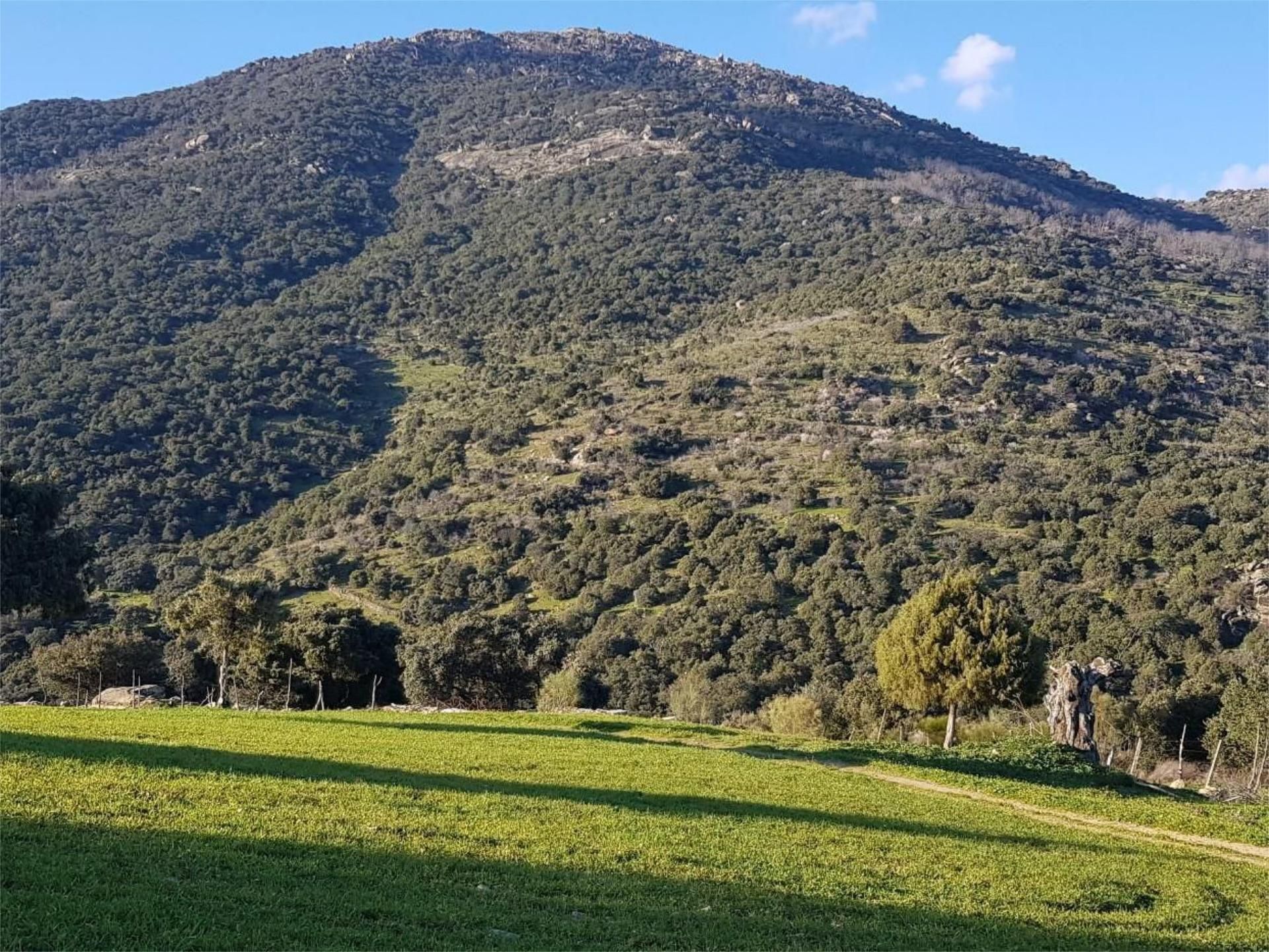 Grundstücke zum verkauf in Hinojosa de San Vicente