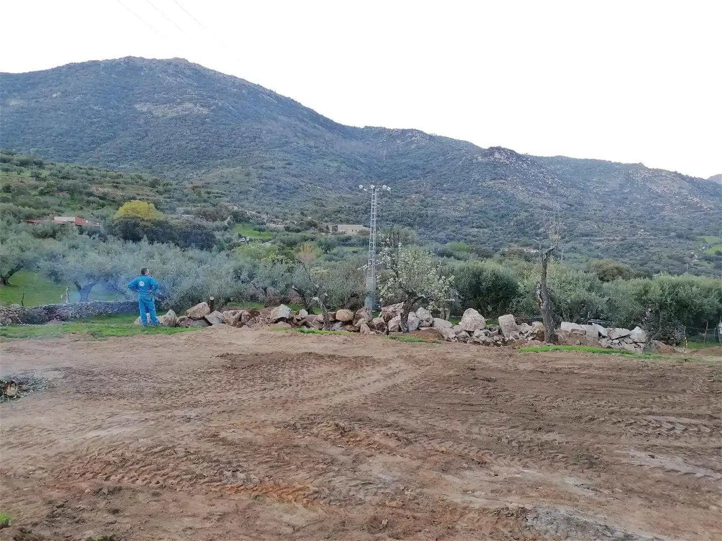 Terreno en venta en Hinojosa de San Vicente