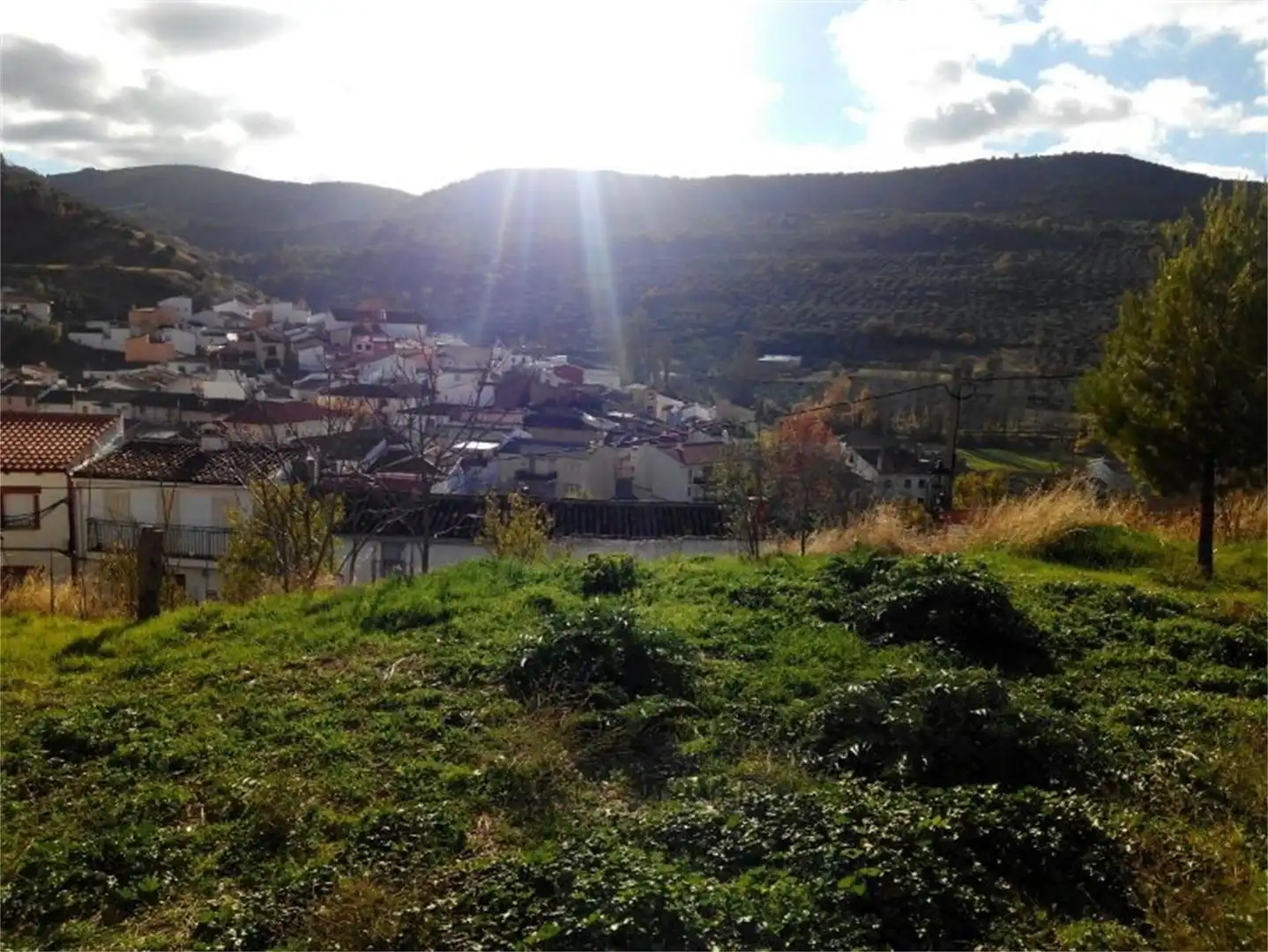 Exterior view of Houses for sale in Salobre  with Terrace