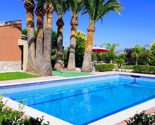 Swimming pool of House or chalet for sale in Novelda  with Terrace and Swimming Pool