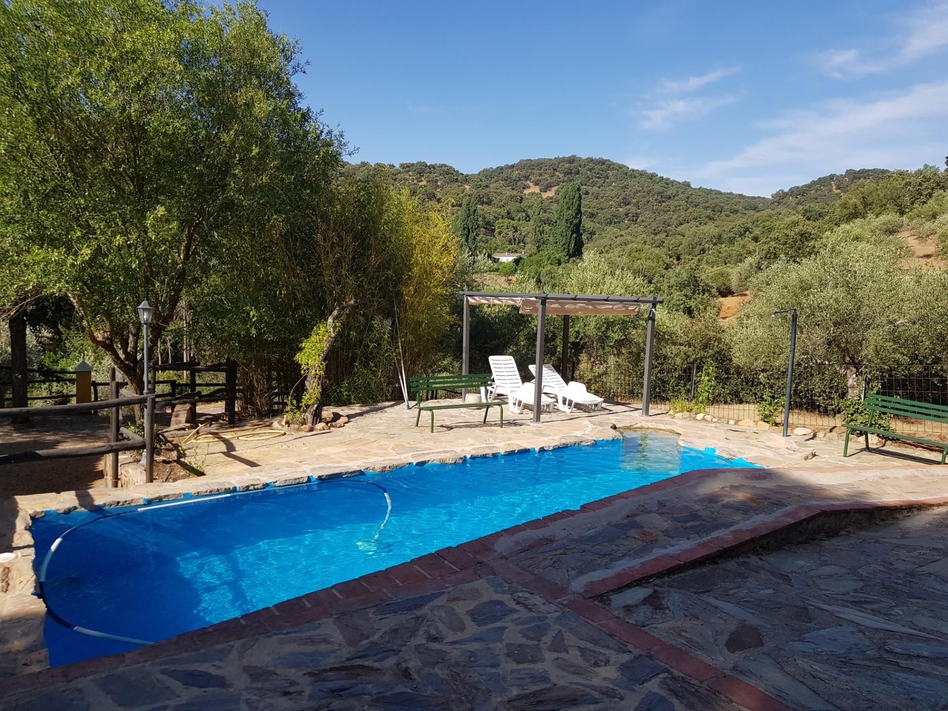 Swimming pool of Country house for sale in Constantina  with Private garden, Terrace and Swimming Pool