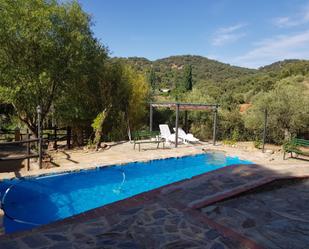 Swimming pool of Country house for sale in Constantina  with Private garden, Terrace and Swimming Pool