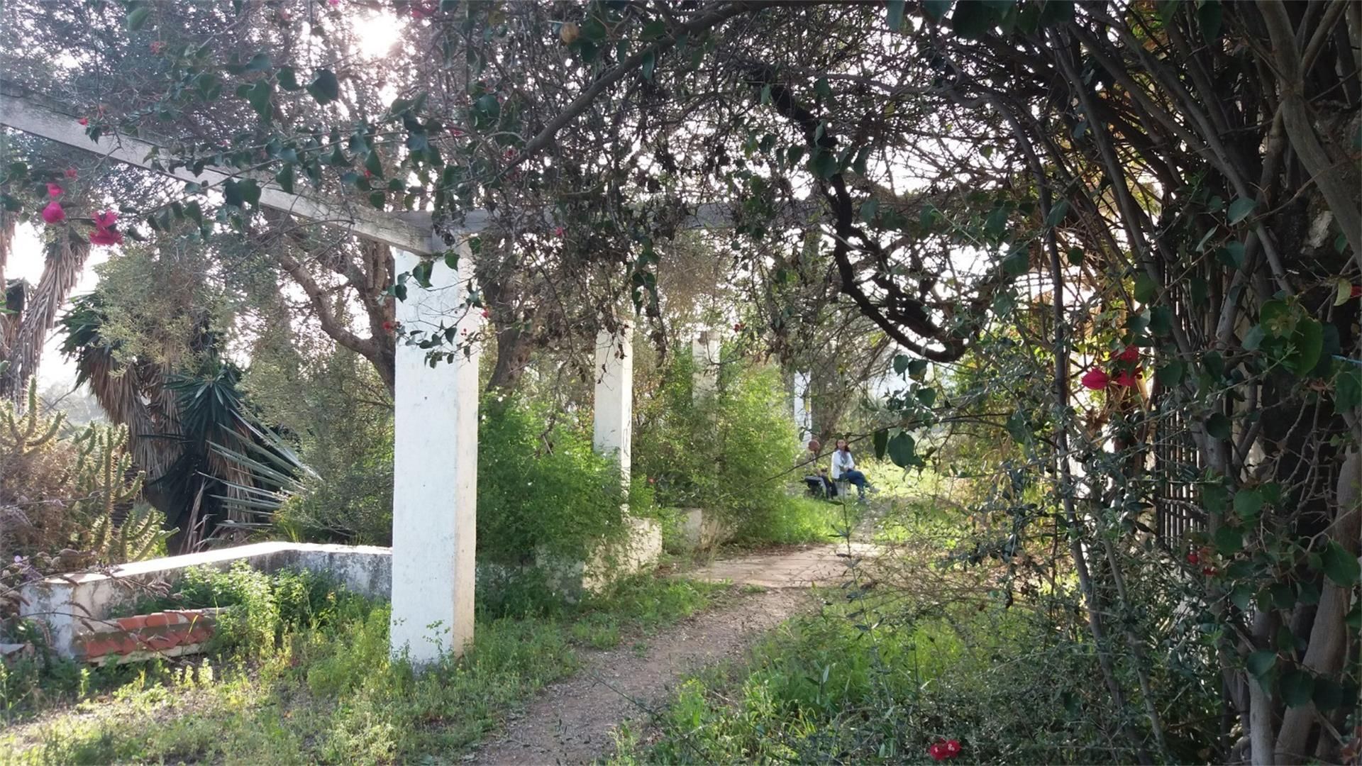 Terreno en venta en Málaga Capital