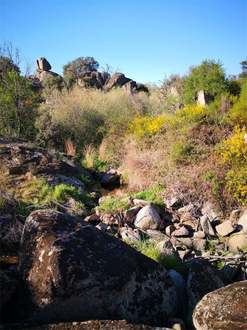 Außenansicht von Grundstücke zum verkauf in Paredes de Escalona