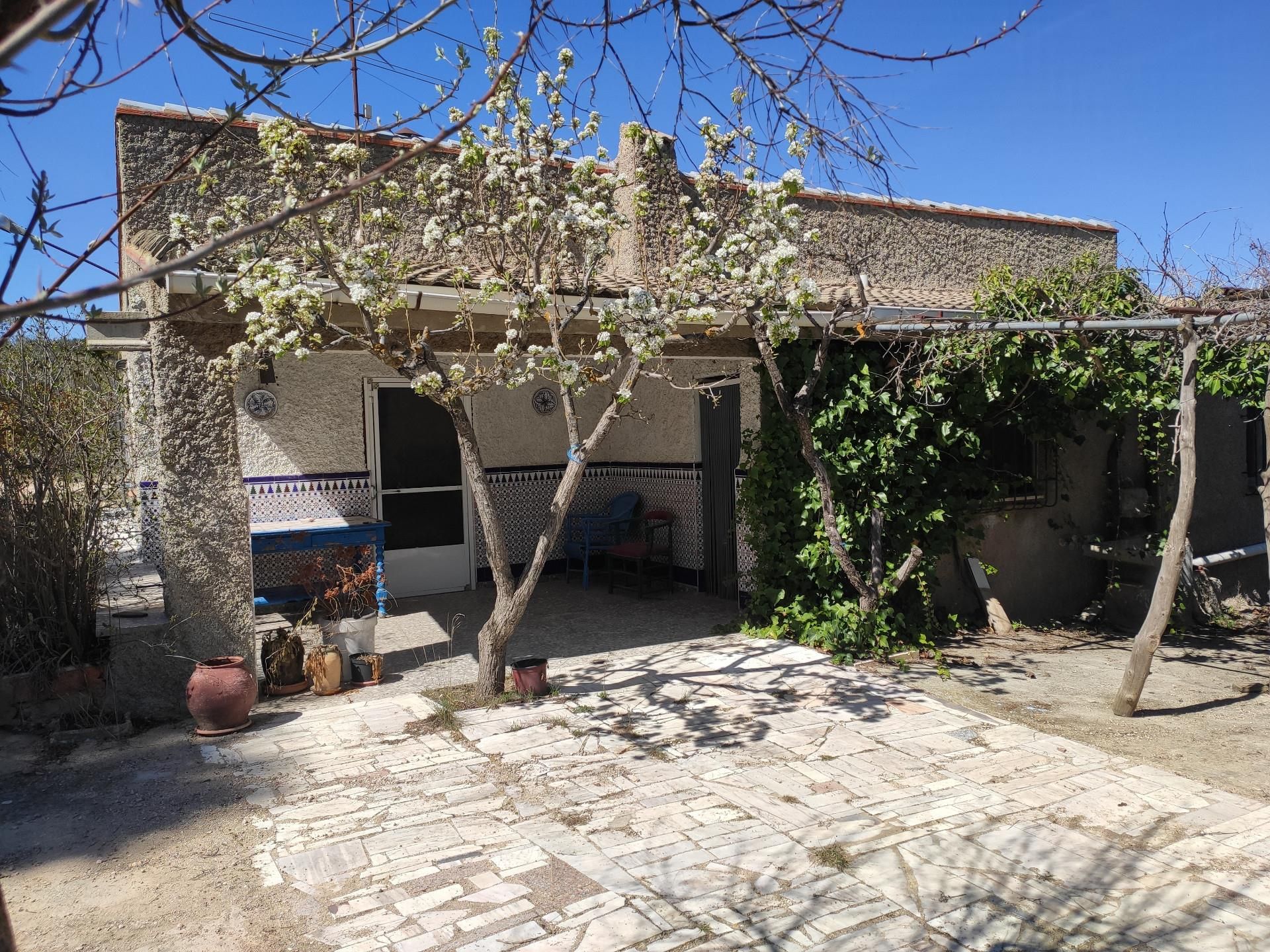 Garden of Country house for sale in Almansa  with Furnished