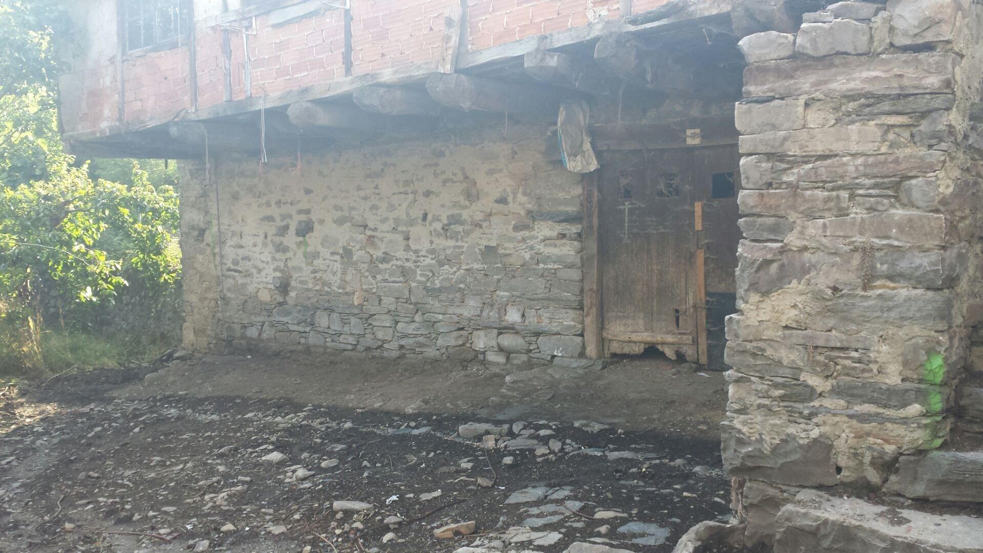 Finca rústica en venda en Palacios del Sil amb Jardí privat