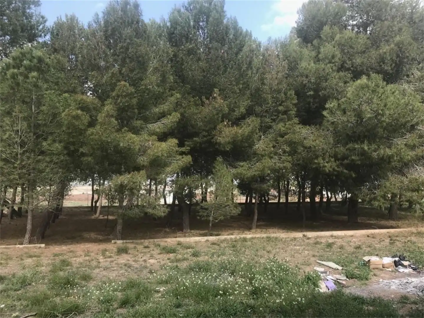 Terreno en venta en Avenida Constitución, El Carril - Paseo de Chapi Terreno en venta en Villena