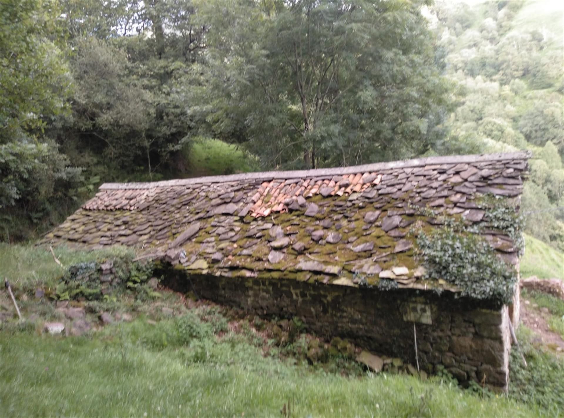 Jardí de Finca rústica en venda en Selaya