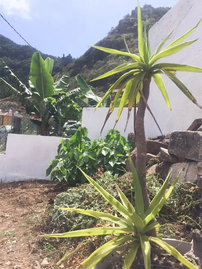 Piso en venta en Plaza San Isidro, Punta del Hidalgo Jardín de Piso en venta en San Cristóbal de la Laguna con Jardín privado, Terraza y Trastero