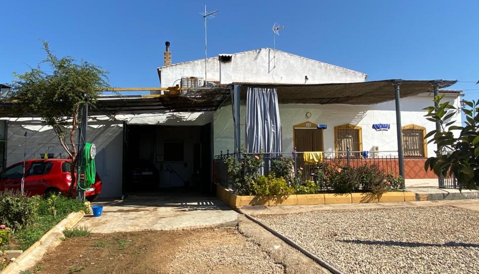 Finca rústica en venda a Calle Doctor Fleming, Andújar, Jaén - imatge 1 Foto 1 de Finca rústica en venda a Calle Doctor Fleming, Andújar, Jaén