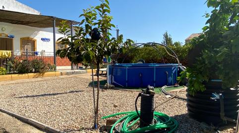 Finca rústica en venda a Calle Doctor Fleming, Andújar, Jaén - imatge 4 Foto 4 de Finca rústica en venda a Calle Doctor Fleming, Andújar, Jaén