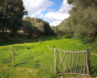 Garden of Land for sale in Porreres