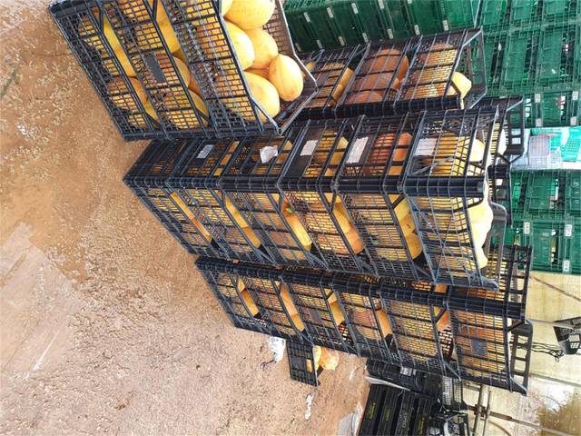 Local comercial en Venta en Ronda de Migjorn, 111 en Llucmajor pueblo