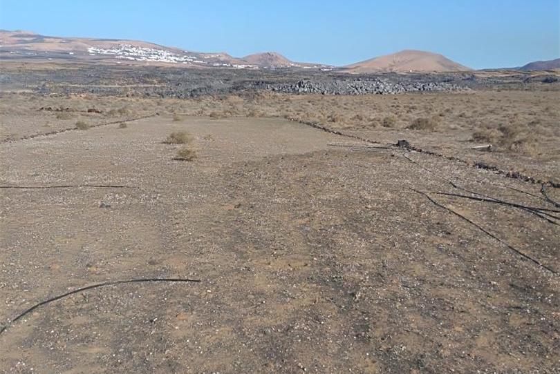 Land for sale in Plaza de la Constitución, Villa de Teguise, Las Palmas - image 1 Photo 1 of Land for sale in Plaza de la Constitución, Villa de Teguise, Las Palmas