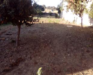 Land for sale in Castrocalbón