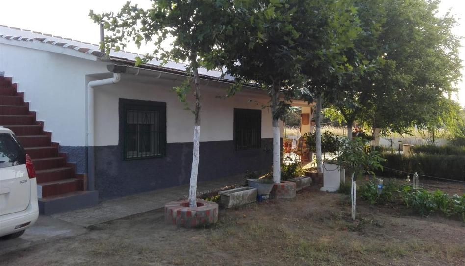 Finca rústica en venda a Avenida de Toledo, Nombela, Toledo - imatge 1 Foto 1 de Finca rústica en venda a Avenida de Toledo, Nombela, Toledo