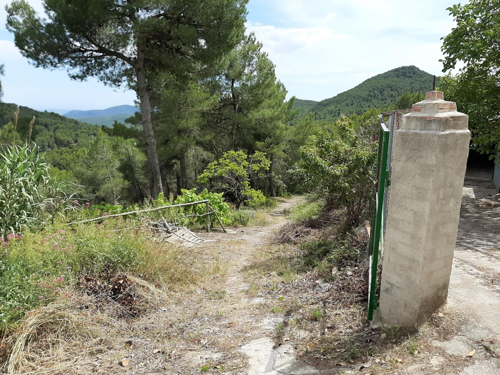 Vista exterior de Finca rústica en venda en Torrelles de Foix amb Jardí privat, Terrassa i Traster