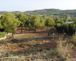 Land for sale in Borriol