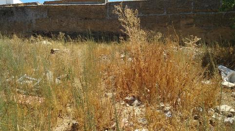 Photo 3 of Planta baja for sale in Calle San Blas, 55, Fuente de Cantos, Badajoz