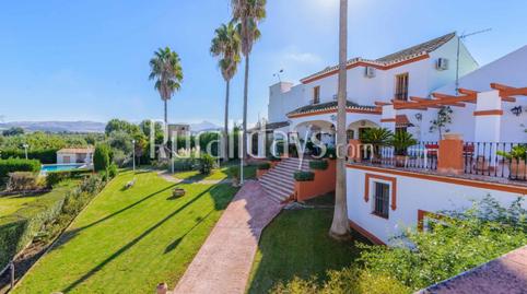 Finca rústica en venta en Calle Diseminado, 68, Villamartín, Cádiz - imagen 5 Foto 5 de Finca rústica en venta en Calle Diseminado, 68, Villamartín, Cádiz