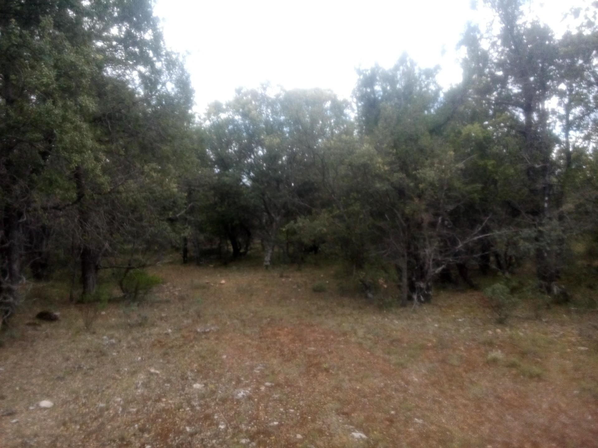 Land for sale in GU-143, Tamajón