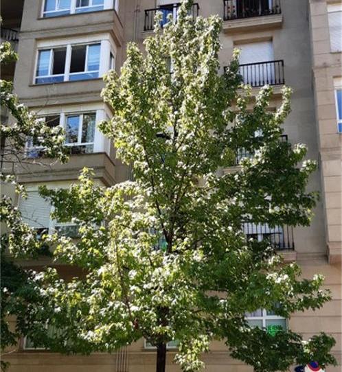 Photo 1 of Duplex for sale in Calle de Logroño, 7, Antiguo, Gipuzkoa