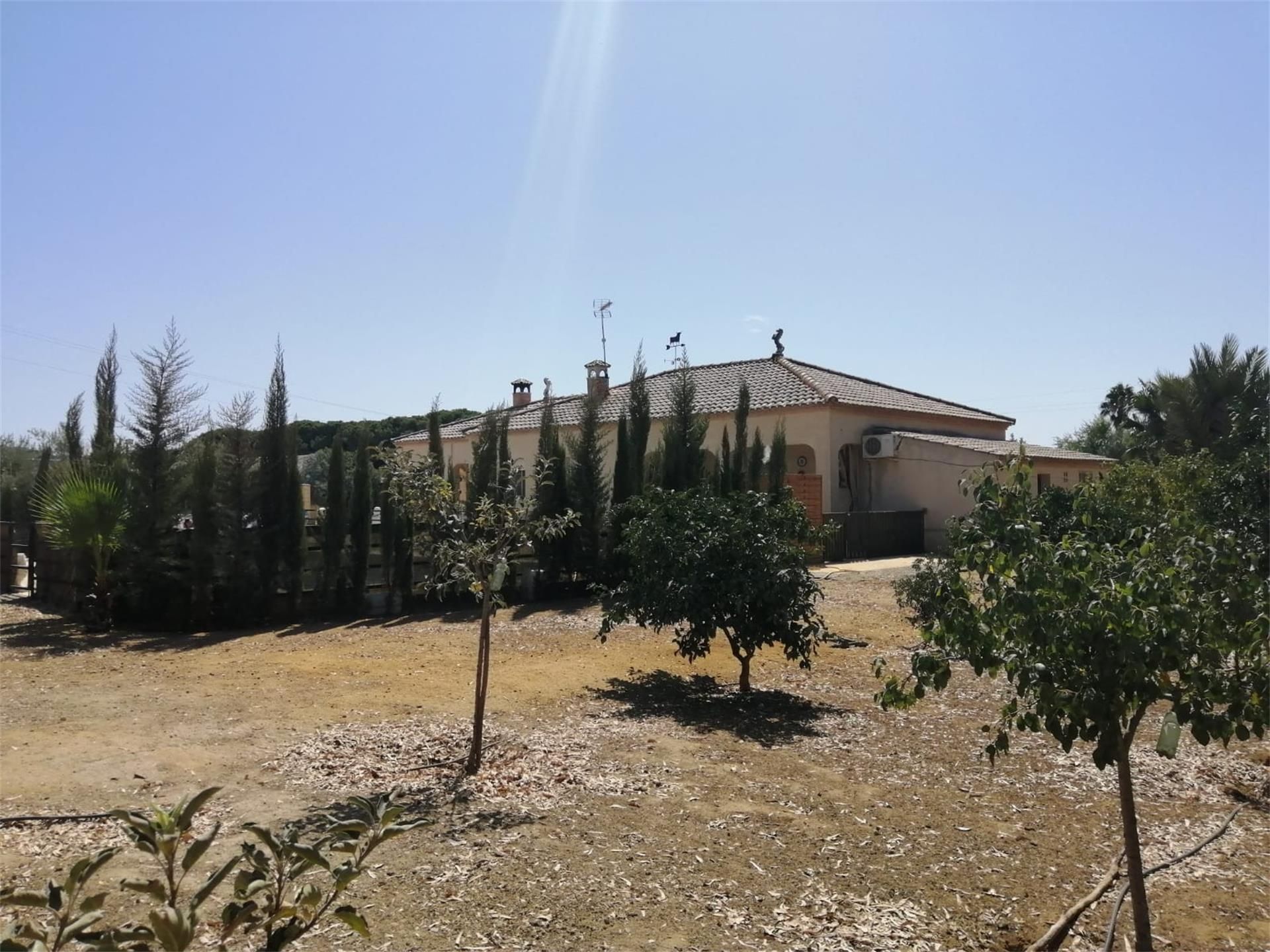 Vista exterior de Casa o xalet en venda en Marchena amb Aire condicionat i Piscina
