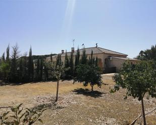 Vista exterior de Casa o xalet en venda en Marchena amb Aire condicionat i Piscina