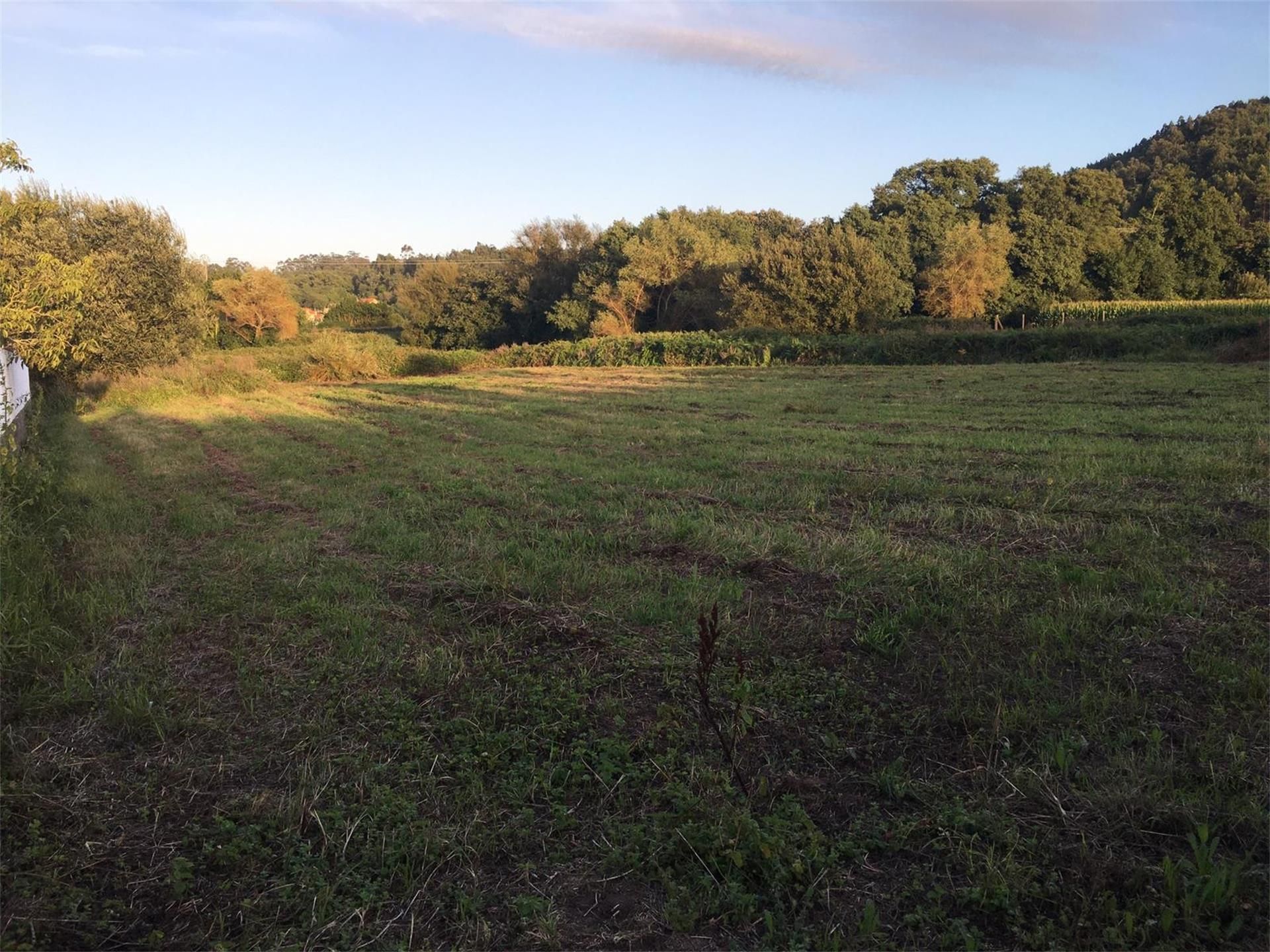 Exterior view of Land for sale in Ribeira