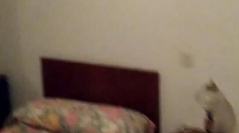 Photo 5 of Single-family semi-detached for sale in Calle Blancaflor, 21a, Peñaflor, Sevilla