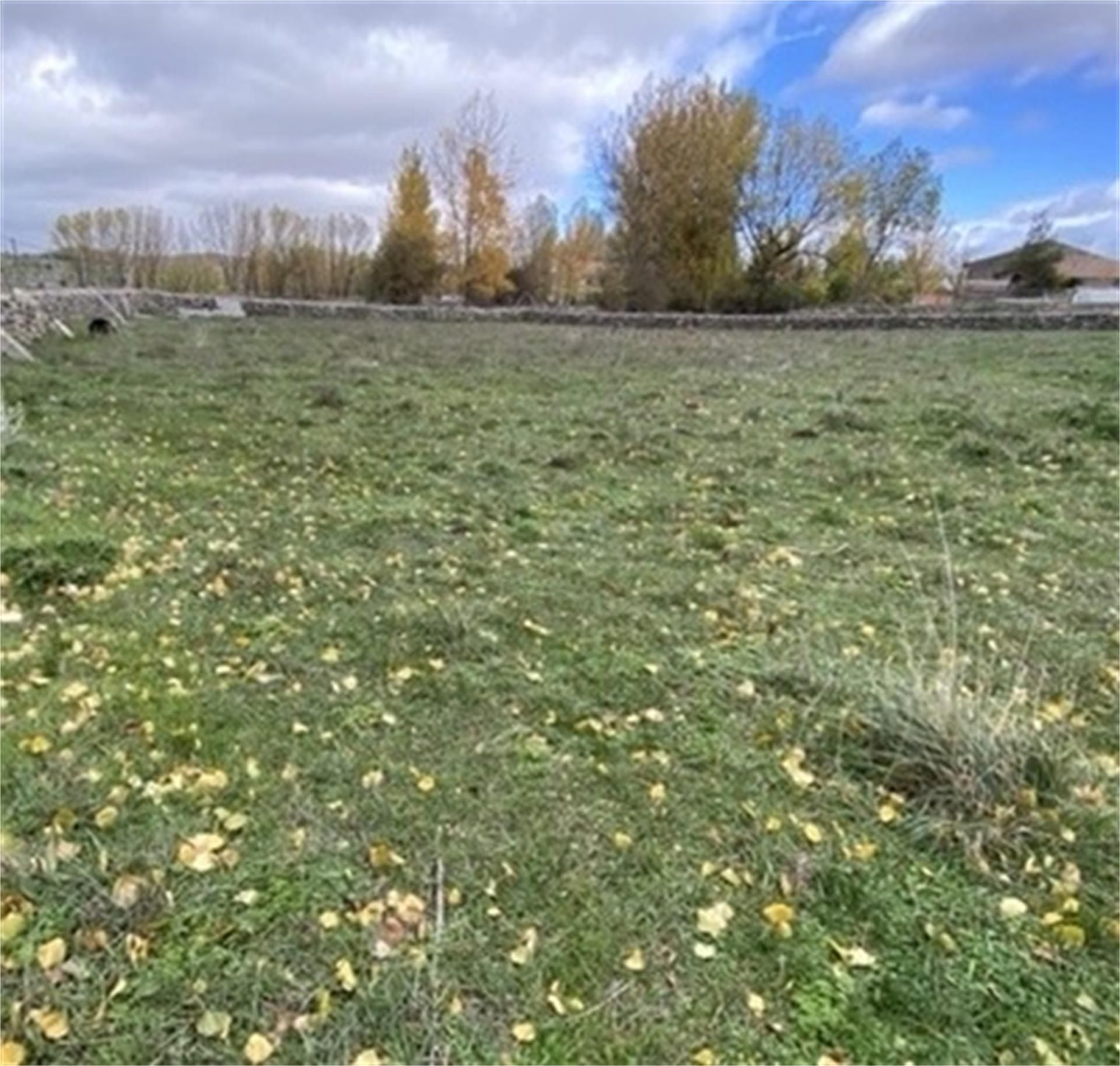 Land for sale in Plaza Mayor, Campisábalos