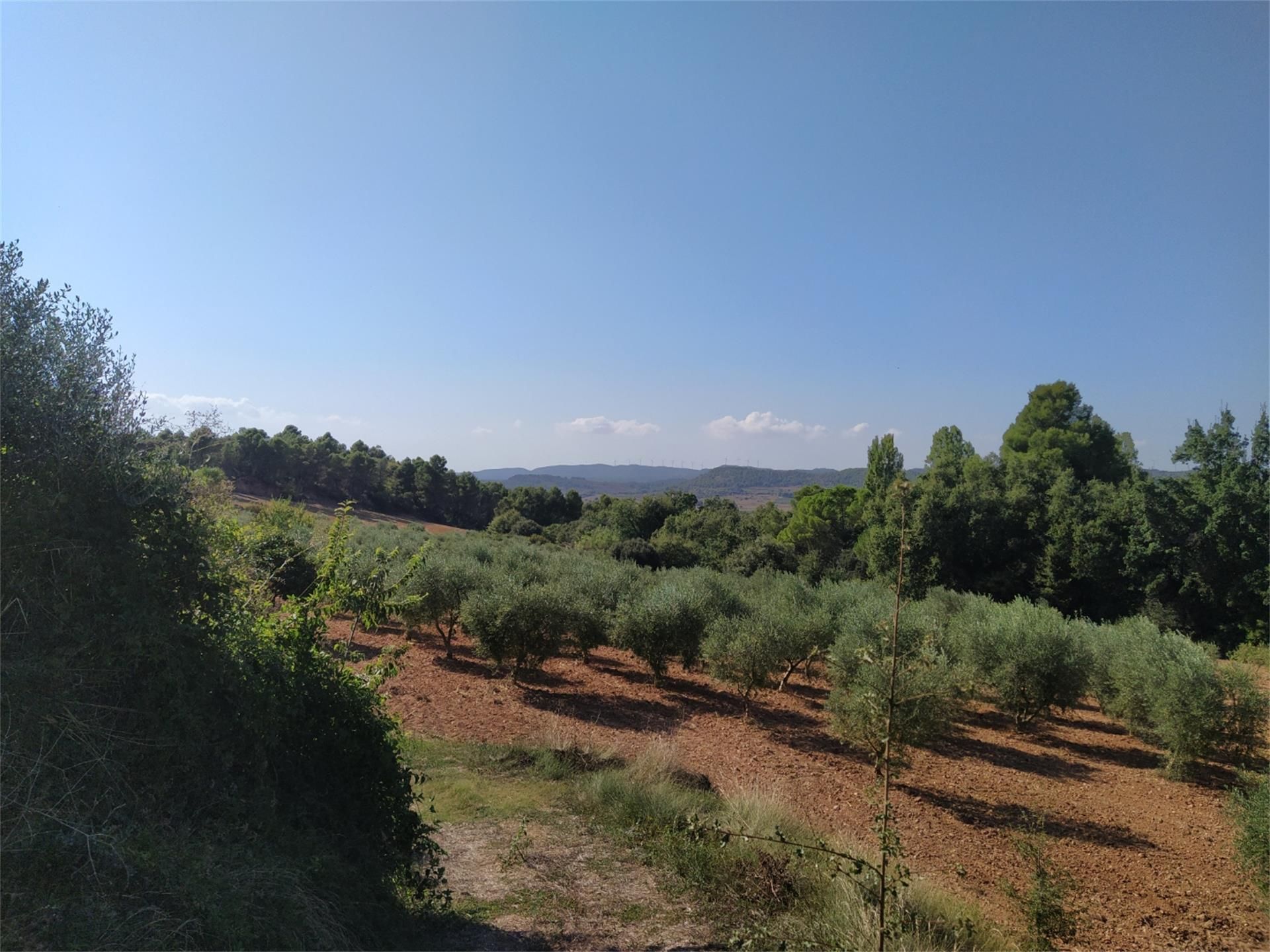 No Urbanitzable en venda en Barberà de la Conca