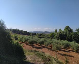 Non-constructible Land for sale in Barberà de la Conca